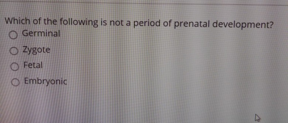 Which of the following is not a period of prenatal development? O Germinal O Zygote Fetal O Embryonic