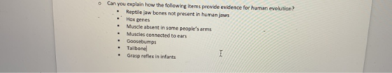 Can you explain how the following items provide evidence for human evolution? • Reptile jaw bones not present in human jaws H