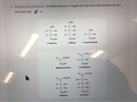 5. Carbons and carbonyls. To which classes of sugars do the monosaccharides shown here belong? → 1 CHO н-с-он н-с-он CHO н-с-