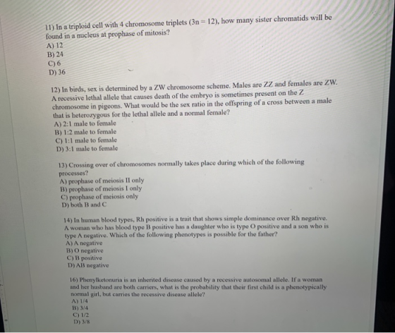 11) In a triploid cell with 4 chromosome triplets (3n = 12), how many sister chromatids will be found in a nucleus at prophas