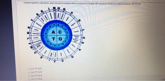 Using the genetic code below, select the point mutations that is synonymous. Original DNA sequence divided into codons by spa