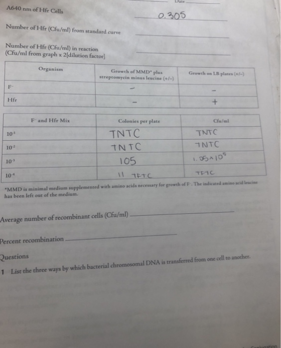 Date A640 nm of Hfr Cells 0. 305 Number of Hfr (Cfu/ml) from standard curve Number of Hfr (Cfu/ml) in reaction (Cfu/ml from g