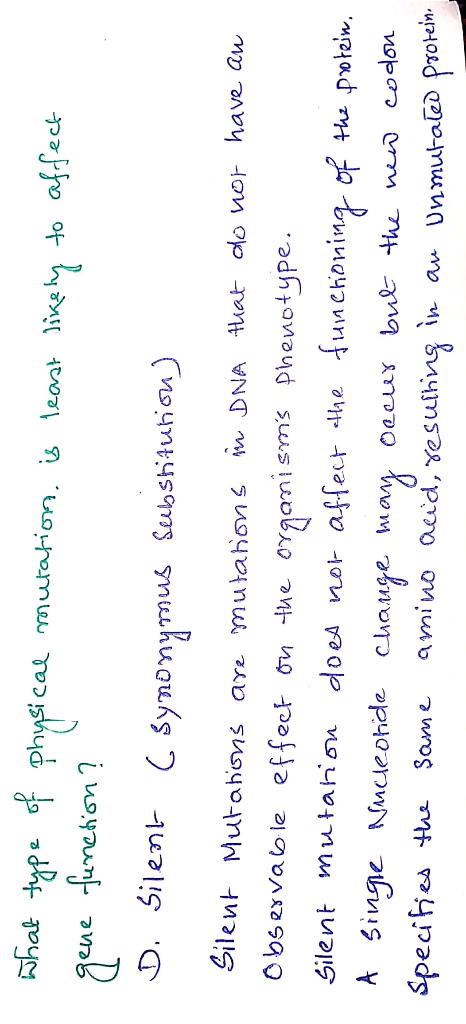 What type of physical mutation, is least likely to affect gene function ? D. Silent ( synonymus substitution) Silent Mutation