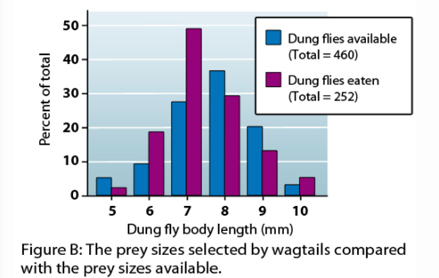 50 40 30 20 Dung flies available (Total = 460) Dung flies eaten (Total 252) 10- 0 5 6 78 9 10 Dung fly body length (mm) Figur