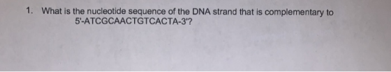 1. What is the nucleotide sequence of the DNA strand that is complementary to 5-ATCGCAACTGTCACTA-3?