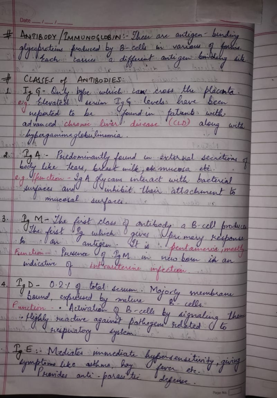 Date #ANTIBODY TMNMUNDLDBIN digene bndiy e ase nctene fradued by B-celle h vaou g achi tasues ante Ancth CLASES Ig G-duly bel