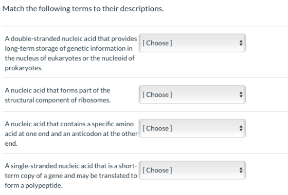 Match the following terms to their descriptions. [Choose ] A double-stranded nucleic acid that provides long-term storage of