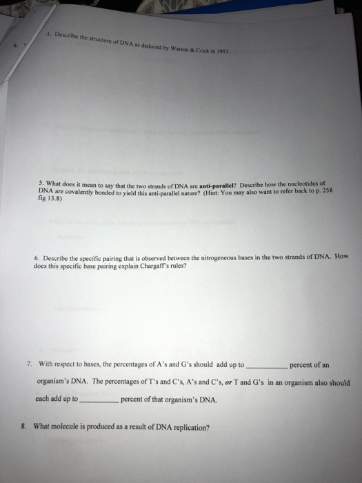 Describe the structure of DNA as deduced by Win & Crick in 1993 3. What does it mean to say that the two strands of DNA are a