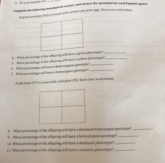 3. Rr is an example of a d answer the questions for each Punnett square Complete the following monohybrid crosses: and answer