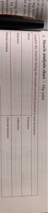 y in move s in sports eleg from a basebal 4. Muscle analysis chart Hip joint Complete the chart by listing the muscles primar