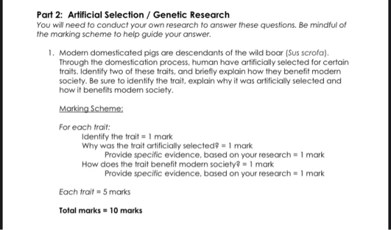 Part 2: Artificial Selection / Genetic Research You will need to conduct your own research to answer these questions. Be mind