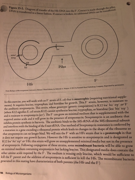 Figure 15-2. Diagram of transfer of the Hfr DNA in DNA is transferred in a linear fashion. If contact is broken, no ad Contac