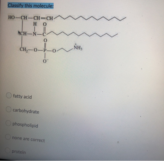 Classify this molecule: HO-CH-CH=CH Η Ο 1 II ACH-N-C O=e CH2-0-P-0 NH3 0 fatty acid carbohydrate phospholipid none are correc