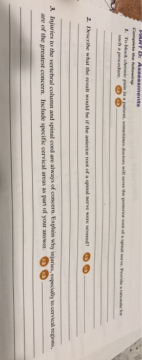 Complete the following 1. To block chronic pain in a patient, sometimes doctors will sever the posterior root of a spinal nerve. Provide a such a procedure. 43 2. Describe what the result would be if the anterior root of a spinal nerve were severed? 3. Injuries to the vertebral column and spinal cord are always of concern. Explain why injuries, especially to cervical regions, are of the greatest concern. Include specific cervical areas as part of your answer. 2