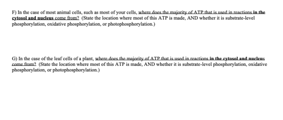 F) In the case of most animal cells, such as most of your cells, where does the majority of ATP that is used in reactions in