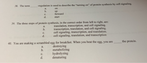 -regulation is used to describe the turning on of protein synthesis by cell signaling. 38. The term on a. b. up forward c.