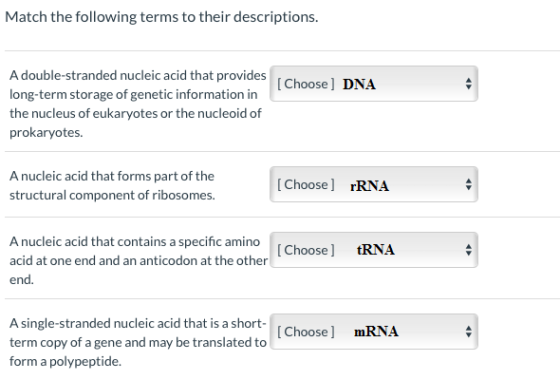 Match the following terms to their descriptions. [Choose) DNA A double-stranded nucleic acid that provides long-term storage