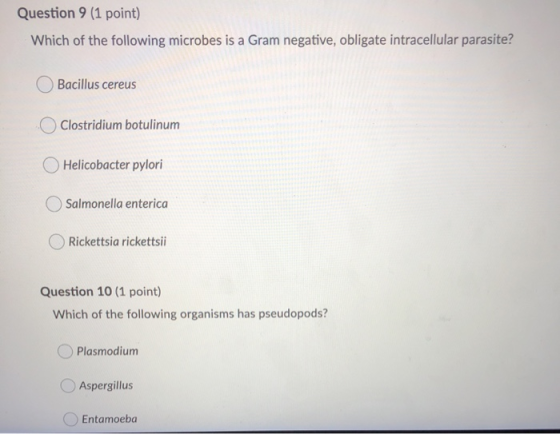 Question 9 (1 point) Which of the following microbes is a Gram negative, obligate intracellular parasite? Bacillus cereus Clo