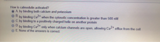 How is calmodulin activated? A. by binding both calcium and potassium B. by binding Ca2+ when the cytosolic concentration is