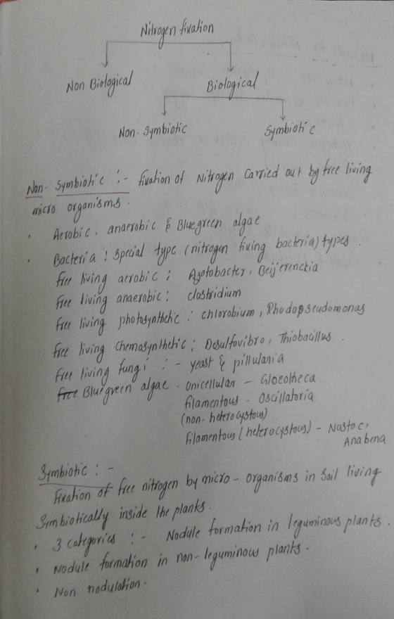 ihogn aion Non Gislogical Biologic Mon. 3ymbiotic 5ymbioh c ahon 01 N l livn mico organsms Acobić anarbic Blegren dgo ing bac