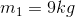 m_{1}=9kg
