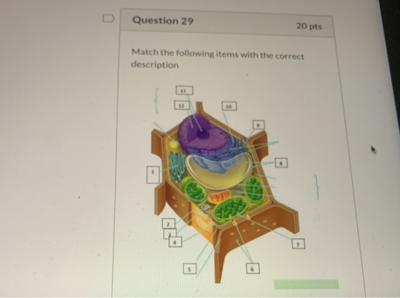 Question 29 20 pts Match the following items with the correct description 11 10 1