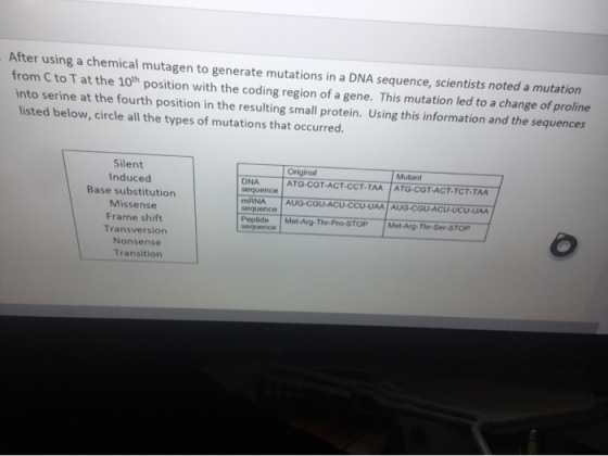 After using a chemical mutagen to generate mutations in a DNA sequence, scientists noted a mutation from C to T at the 10th p