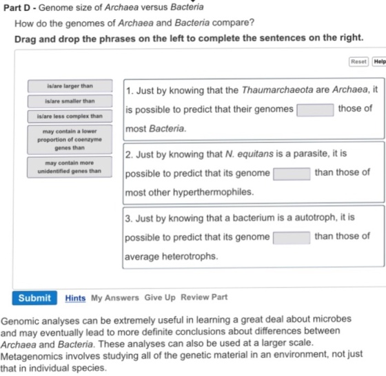 Part D Genome size of Archaea versus Bacteria How do the genomes of Archaea and Bacteria compare? Drag and drop the phrases on the left to complete the sentences on the right. Reset Help is/are larger than 1. Just by knowing that the Thaumarchaeota are Archaea, it isare smaller than those of s possible to predict that their genomes islare less complex than may contain a lower most Bacteria. proportion of coenzyme genes than 2. Just by knowing that N. equitans is a parasite, it is may contain more than those of unidentified genes than possible to predict that its genome most other hyperthermophiles. 3. Just by knowing that a bacterium is a autotroph, it is than those of possible to predict that its genome average heterotrophs. Hints My Answers Give Up Review Part Submit Genomic analyses can be extremely useful in learning a great deal about microbes and may eventually lead to more definite conclusions about differences between Archaea and Bacteria. These analyses can also be used at a larger scale. Metagenomics involves studying all of the genetic material in an environment, not just that in individual species.