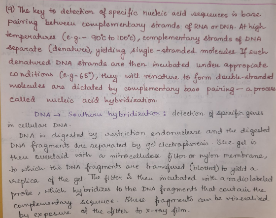 (@) The key to detection of specific nucleic acid sequences is base pairing between complementary strands of RNA OF DNA. At h