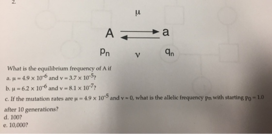 2. Pn An What is the equilibrium frequency of A if a. μ-4.9 x 10-6 and v = 3.7 x 10-5? b. μ = 6.2 x 10-6 and v = 8.1 x 10-7? c. If the mutation rates are μ = 4.9 x 10-5 and v ~ 0 what is the allelic frequency pn with starting po-1.0 after 10 generations? d. 100? e. 10,000