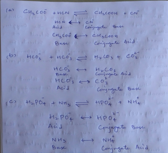 ( Сн, соб +нс — с соон + сл HON Acid EN conjugate ut Base a terr Си, соб Base a tortor скъсоби Conjugate Consugarte Base teid