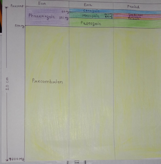 Eon Era Period Present 66 my- Cenozoic Mesozoic Phanerozoic 251 my 14 SMY 201my CAPE COUS SOISSIS TGSSIS Paleozoic 540 my Pre