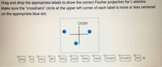 Drag and drop the appropriate labels to show the correct Fischer projection for L-alanine. Make sure the crosshairs circle