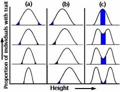 Proportion of individuals with trait Height -