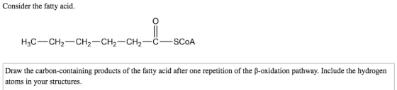 Consider the fatty acid. Hас — CH2—СH2—CH2—CH—С—SCOA Draw the carbon-containing products of the fatty acid after one repetiti