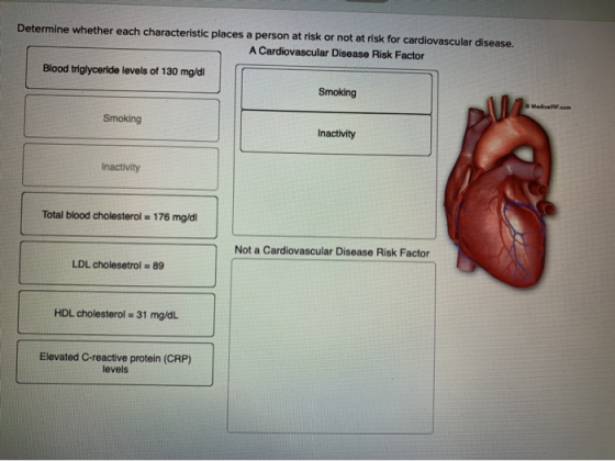 Determine whether each characteristic places a person at risk or not at risk for cardiovascular disease. A Cardiovascular Dis