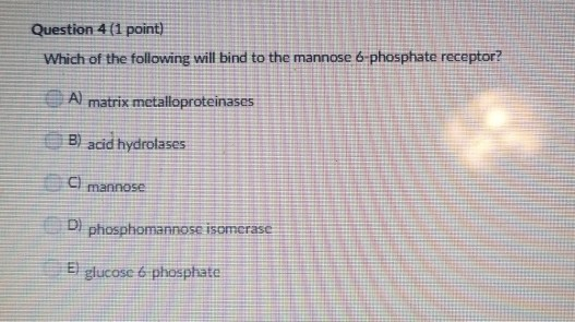 Question 411 point) Which of the following will bind to the mannose 6-phosphate receptor? A matrix metalloproteinases B acid