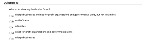 Question 10 Where can visionary leaders be found? In large businesses and not-for-profit organizations and governmental units