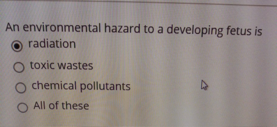 An environmental hazard to a developing fetus is radiation toxic wastes O chemical pollutants O All of these