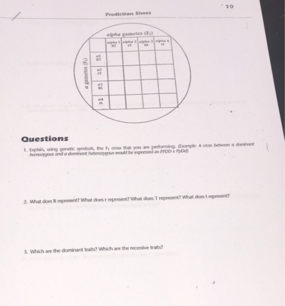 10 Prediction Sheet alpha gametes (F) RT rT ce rt al rT a3 Rt a4 rt Questions 1. Explain, using genetic symbols, the F cross