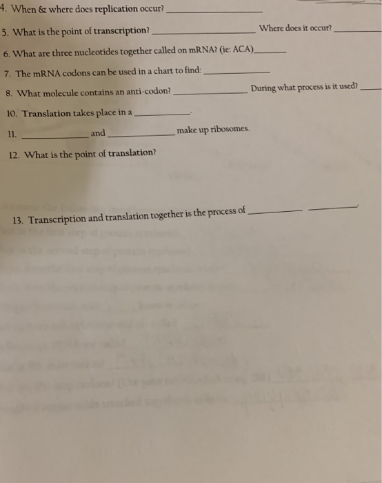 4 When Where Does Replication Occur 5 What Is The Point Of 