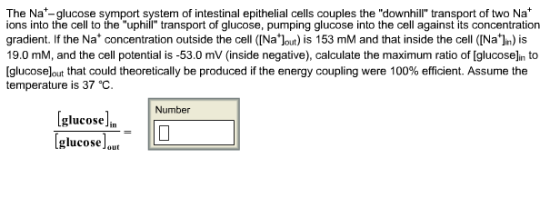 The Nat-glucose symport system of intestinal epithelial cells couples the downhill transport of two Nat ions into the cell