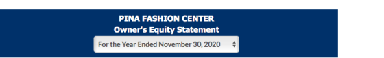 PINA FASHION CENTER Owners Equity Statement For the Year Ended November 30, 2020