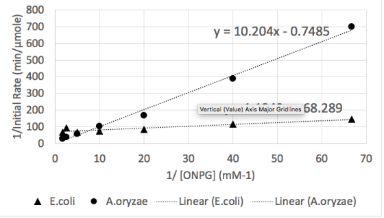 y = 10.204x - 0.7485 1/Initial Rate (min/umole) Vertical (Value) Axis Major Gridlines 68.289 0 10 20 30 40 1/ [ONPG] (mM-1) 5