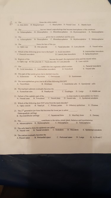 h. The A Alw plates B. Marginal laer C. Bal plstes D Neural Crest E Mantie layor 12. The has rwo learal oetpocketing that becorsc hemispheres of the cerebrum 13 The gives rise te erebelun asd the poss 14 Th A Optic cup It. Otic placede C. Nasal piacola D·Lens pla00de E. Neural reina 5. Which of the fallowing gives rise to the heant? AAxloderm B. Iternediace mesoderm C. Parasial mosoderm D Latcral platic mexoderm E.Sanchnoplesre I6. becone the pupil, the pigmenad netine asd the noural etina Regiors of the A. Optic csp B. Ctic placode C Naol placodes D. Lens placode Lem vesidle sabdivides into sepments called somites D. Notochond A. Parasial E. Nesral tube 18. This part of the sonie gives rise to skelotal mancles A. Sclerotome B. Myone C. Deone D. Somitomere 19. The turoepetheliangmes risete all of tatllowing EXCE7r A. Neurotiass B. Gliobess C. Endothelial cells D. Ependymal cells 20. The acheal ndment eventually becomes the to close raults in ananoephaly (so brain A. Neural crest B. Notohad C. Neural plae D. Neural tuhe EEpidenmal ectodem 21. Failure of the cephalic pat of the 22. Which of the olowing does NOT arbe from the rasd placode called C. Squamosal boneD xillary bone contributes to the reira, pinwal gland, thalanes and hypothalamus 23. The d generation jw bone thet becomes the lawar jaw i A. Palatoquadrane cartiage B. Hyomandibalar cartilags E Deary 24. The C. Diencephalon D. Telencephaion The calls fided tofrm the epidemi are call tC. Entodem D Menderm E Epitemal ectedem 25. 25. The coelom eventually besormes the A. Pleural space B. Pericedial spaceCPeroneal space D. Lungs E. A. Band C