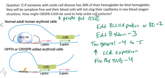 Question 7) If someone with sickle cell disease has 30% of their hemoglobin be fetal hemoglobin, they will be symptom free an