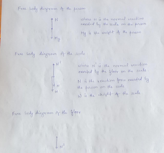 Free body diagram of the person where N ý the normal reaction excersed by the scale to the person Ma is the weight of the per
