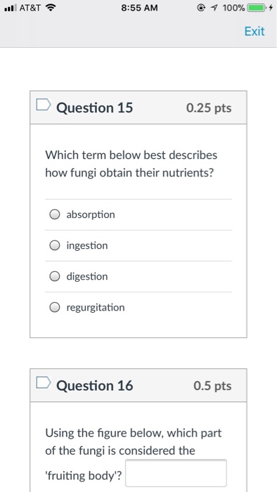 AT&T 8:55 AM @f 100%) 0.+ Exit Question 15 0.25 pts Which term below best describes how fungi obtain their nutrients? O absorption O ingestion O digestion O regurgitation Question 16 0.5 pts Using the figure below, which part of the fungi is considered the fruiting body?