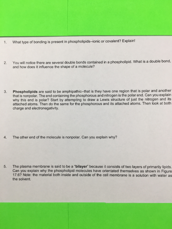 1. What type of bonding is present in phospholipids-ionic or covalent? Explain! You will notice there are several double bonds contained in a phospholipid. What is a double bond and how does it influence the shape of a molecule? 2. Phospholipids are said to be amphipathic-that is they have one region that is polar and another that is nonpolar. The end containing the phosphorous and nitrogen is the polar end. Can you explain why this end is polar? Start by attempting to draw a Lewis structure of just the nitrogen and its attached atoms. Then do the same for the phosphorous and its attached atoms. Then look at both charge and electronegativity 3. 4. The other end of the molecule is nonpolar. Can you explain why? The plasma membrane is said to be a bilayer because it consists of two layers of primarily lipids. Can you explain why the phospholipid molecules have orientated themselves as shown in Figure 17.6? Note: the material both inside and outside of the cell membrane is a solution with water as the solvent. 5.