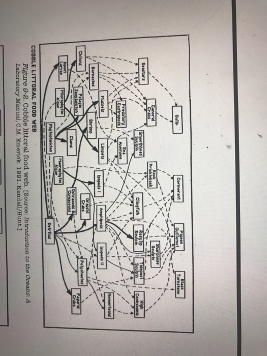 Seastars Mussels Phytoplanikte COBBLE LITTORAL FOOD WEB Figure 9-2. Cobble littoral food web. [Source: Introduction to the Oceans: A Laboratory Manual, C.M. Emerick. 1991. Kendall/Hunt.J